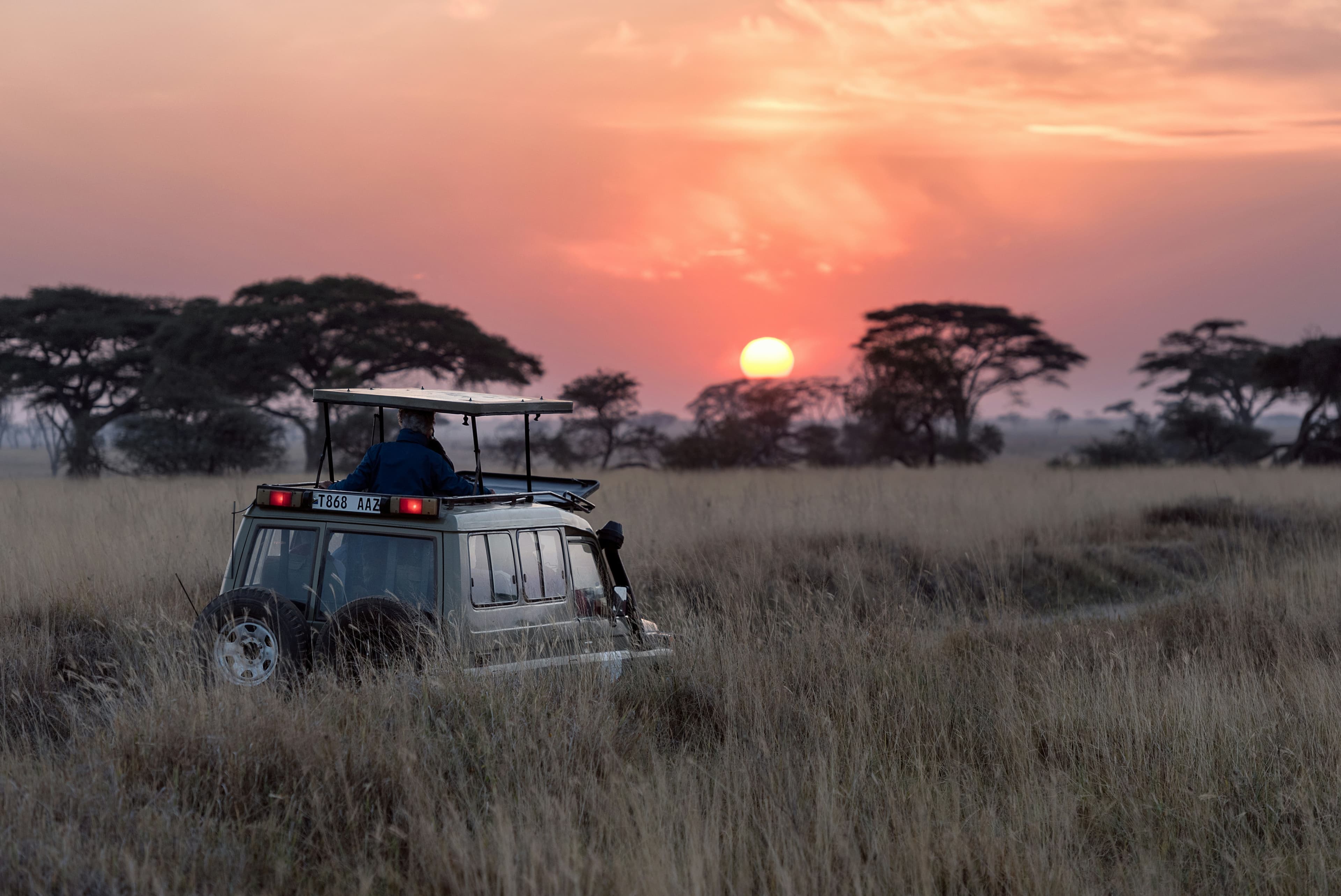 A Guide to Your First Safari Adventure